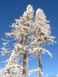 Beskid Żywiecki