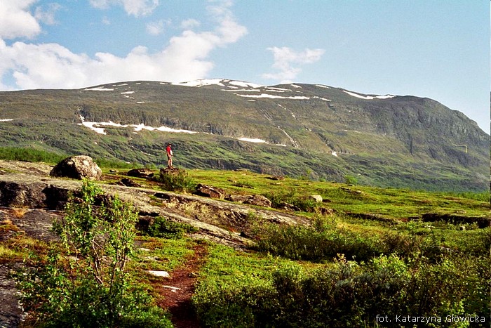 Kungsleden