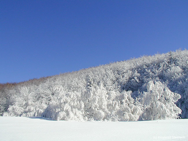 "Bielej" być nie może... ;)