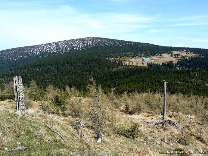 Śnieżnik w całej okazałości, widok ze Średniaka