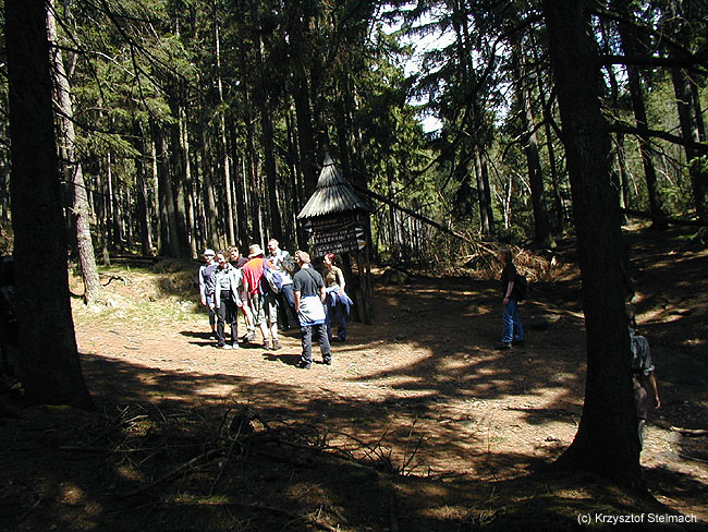 "No to gdzie teraz...?"