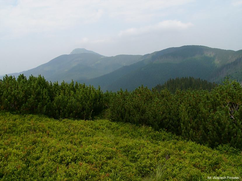 P1090595_DCE.JPG