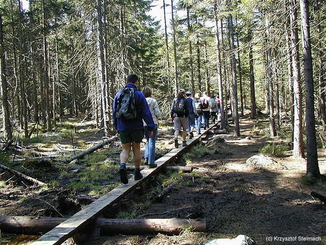 Parami się nie da... :)