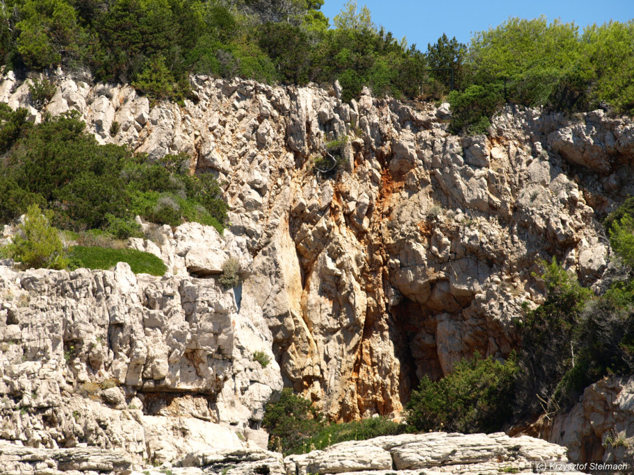 P8132359_DCE.jpg