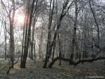 Park Strzelecki - 14.11.2003 r.