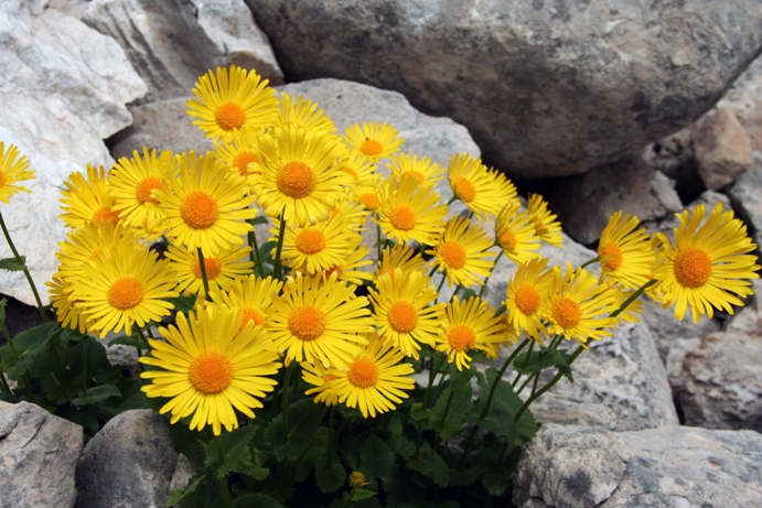 dobre miejsce do życia ;)