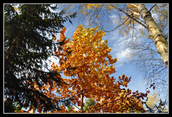 DSC_4997a.jpg