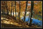 DSC_5108a.jpg