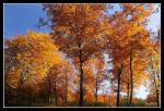 DSC_5171a.jpg